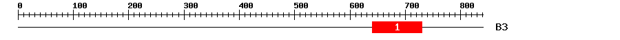 Signature Domain
