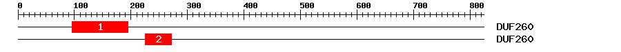 Signature Domain
