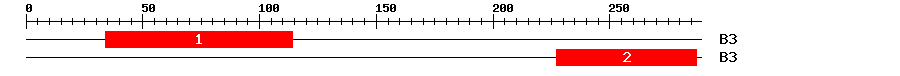 Signature Domain