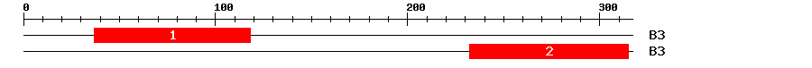 Signature Domain