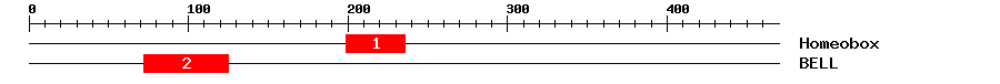 Signature Domain