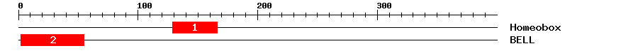 Signature Domain