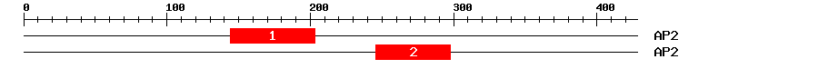 Signature Domain