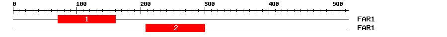 Signature Domain