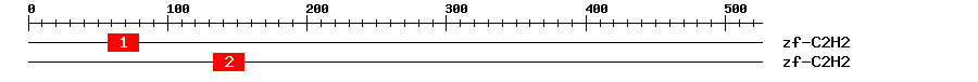 Signature Domain