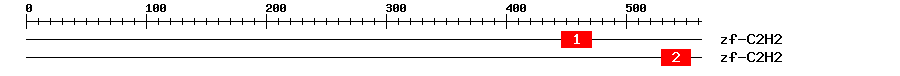 Signature Domain