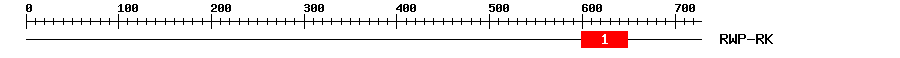 Signature Domain