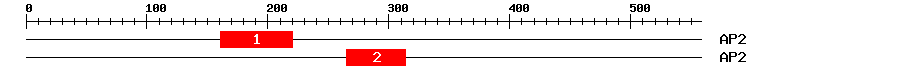 Signature Domain