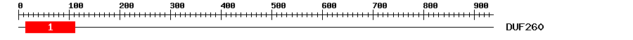 Signature Domain