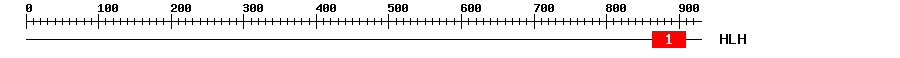 Signature Domain