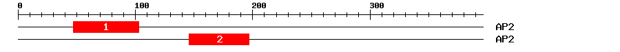Signature Domain