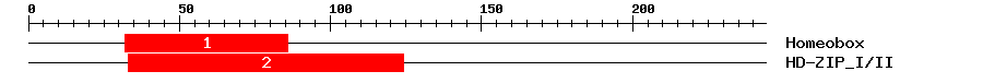 Signature Domain