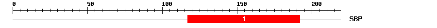 Signature Domain