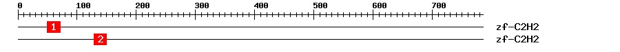 Signature Domain