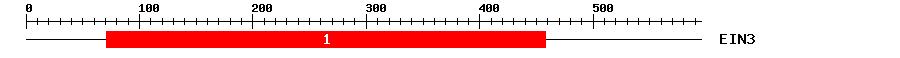 Signature Domain