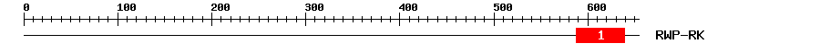 Signature Domain