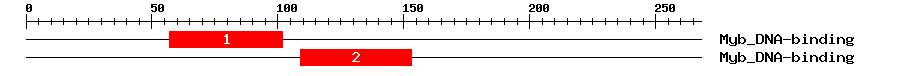 Signature Domain