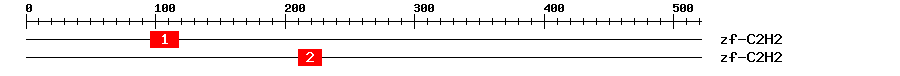 Signature Domain