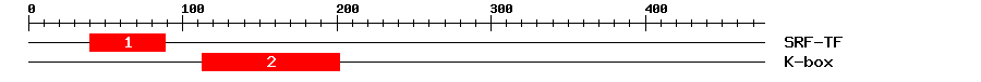 Signature Domain