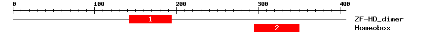 Signature Domain