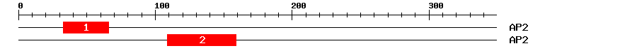 Signature Domain