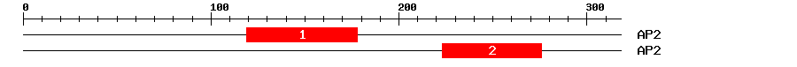 Signature Domain