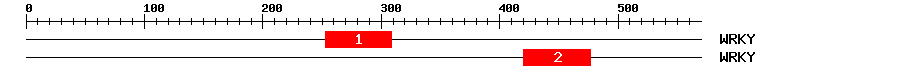 Signature Domain
