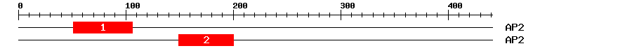 Signature Domain