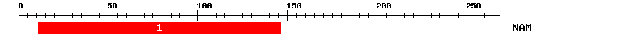 Signature Domain