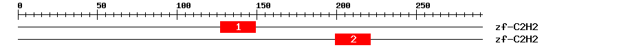 Signature Domain