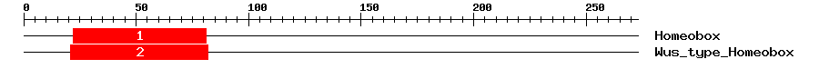 Signature Domain