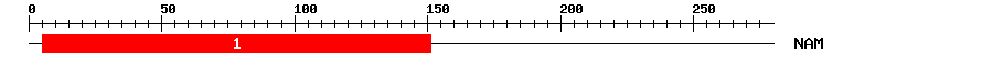 Signature Domain