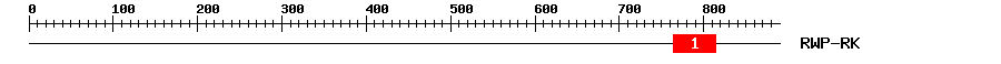 Signature Domain
