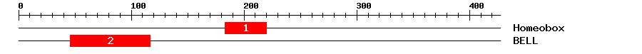Signature Domain