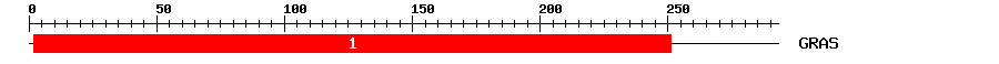 Signature Domain