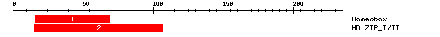 Signature Domain