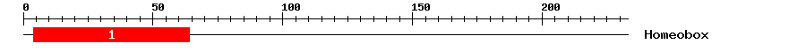 Signature Domain
