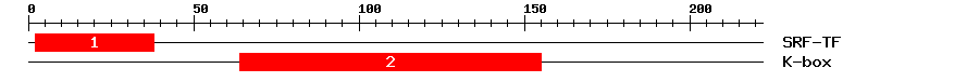 Signature Domain