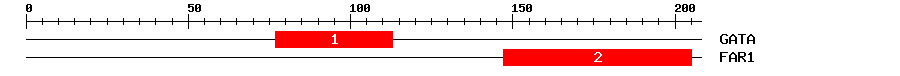 Signature Domain