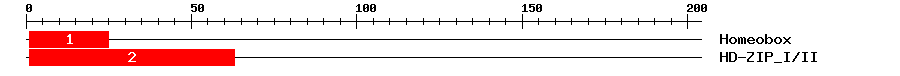 Signature Domain