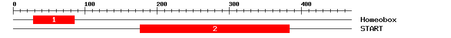 Signature Domain