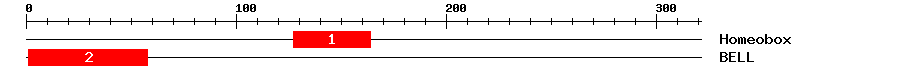 Signature Domain