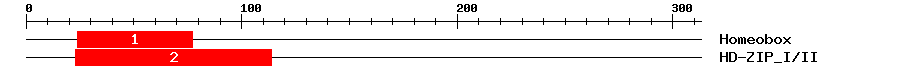 Signature Domain