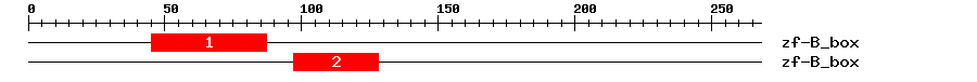 Signature Domain