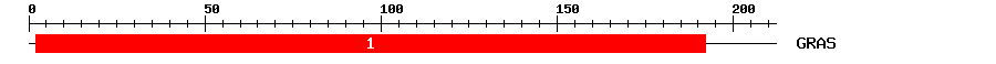 Signature Domain