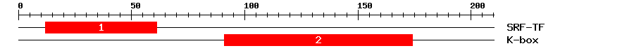 Signature Domain