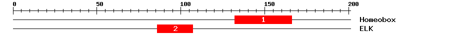 Signature Domain