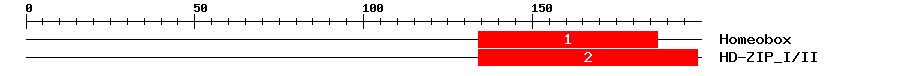 Signature Domain