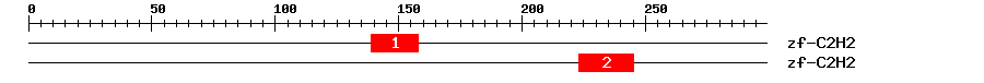 Signature Domain