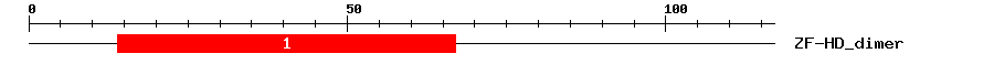 Signature Domain